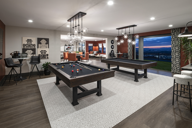 Games Rooms Conviviality